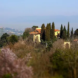 Frigionaia , Carmignano Italia